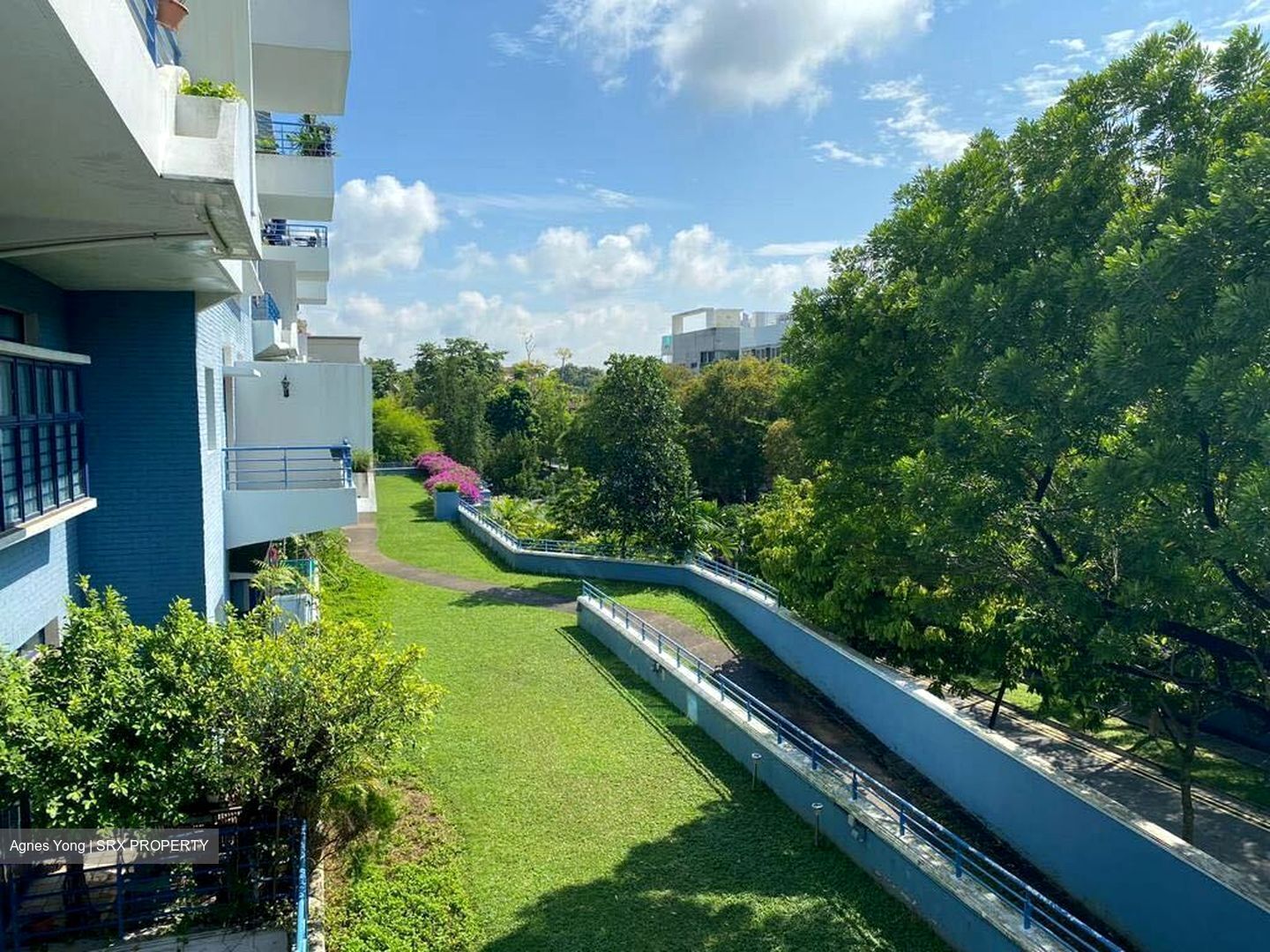 Nineteen Shelford Road (D11), Condominium #404912031